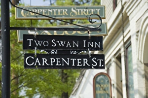 Street Sign Prints: St. Michaels