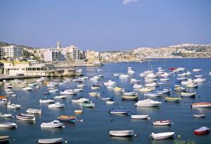Malta Prints: St. Pauls Bay