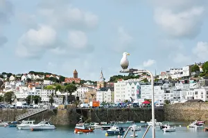 Docked Prints: St Peter Port harbour, Guernsey Island, Bailiwick of Guernsey, United Kingdom