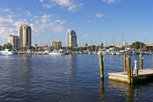 Gulf Coast Prints: St. Petersburg, Gulf Coast, Florida, United States of America, North America