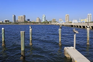 Tampa Prints: St. Petersburg skyline, Tampa, Florida, United States of America, North America
