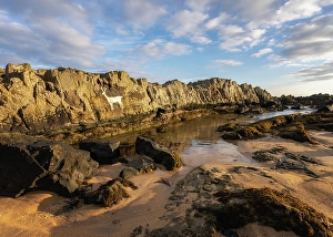 Pools Prints: Stag rock, Bamburgh, Northumberland, England, United Kingdom