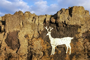 Cliffside Prints: Stag rock, Bamburgh, Northumberland, England, United Kingdom