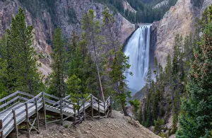 Stairs leading to Lower Falls of the Grand Canyon, Yellowstone National Park Stairs leading to Lower Falls of the Grand Canyon, Yellowstone National Park