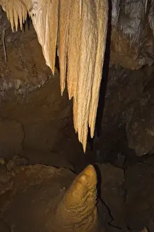 Augusta Margaret River Shire Prints: Stalactites close to creating a column with stalagmite below at Ngilgi Cave
