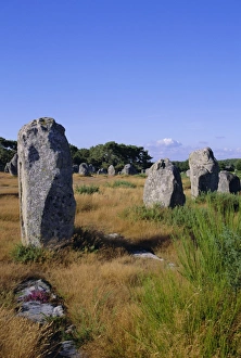 Carnac Prints: Standing stones, Carnac, Brittany, France, Europe
