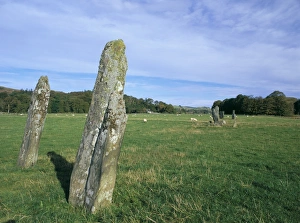 Cemetery Prints: Standing stones in Lady Glassary wood