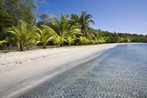 Star Beach, Colon Island (Isla Colon), Bocas del Toro Province, Panama, Central America