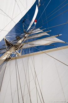 Masts Prints: Star Clipper sailing cruise ship