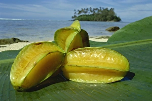 Rarotonga Prints: Star fruit on palm leaf, Rarotonga, Cook Islands, Pacific Islands, Pacific