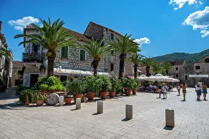 Cafes Prints: Stari Grad with palm trees and people enjoying a sunny day in the old town of Hvar