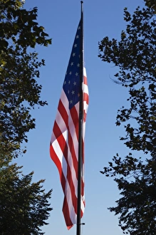 Flagpole Prints: Stars and Stripes