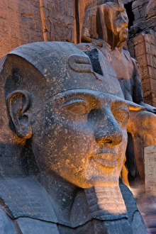 Images Dated 11th April 2009: Statue in the ancient Egyptian Luxor Temple at night, Luxor, Thebes, UNESCO World Heritage Site