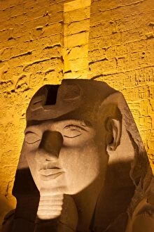 Images Dated 11th April 2009: Statue in the ancient Egyptian Luxor Temple at night, Luxor, Thebes, UNESCO World Heritage Site