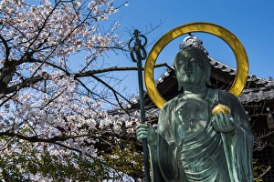 Religious Figure Prints: Statue in the cherry blossom in the Maruyama-Koen Park, Kyoto, Japan, Asia