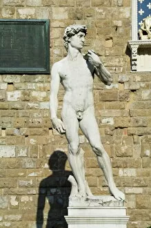 Images Dated 5th January 2000: Statue of David