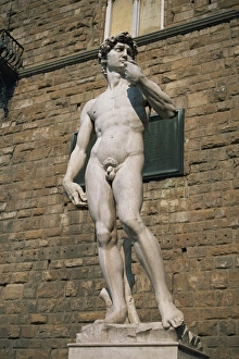 Nude Prints: The statue of David by Michelangelo in the Piazza della