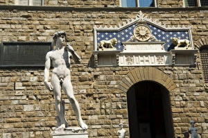 Images Dated 1st November 2007: Statue of David, Palazzo Vecchio on the Piazza della Signoria, Florence (Firenze)