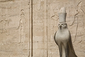 Images Dated 26th February 2007: Statue of the falcon, sacred bird of Horus, at the entrance of the Temple of Edfu