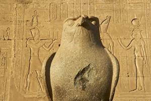 Traditionally Egyptian Prints: Statue of falcon, Temple of Horus, Edfu, Egypt, North Africa, Africa
