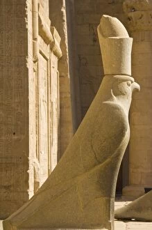 Statue of Horus the falcon outside the doorway to the sandstone Temple of Horus at Edfu