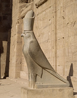 The Statue of Horus (the falcon god), at the Temple of Horus, Edfu, Egypt