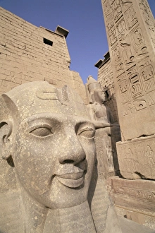 Deteriorate Prints: Statue of the pharaoh Ramses II, Luxor Temple, Thebes, UNESCO World Heritage Site