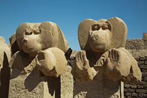 Ancient Thebes Prints: Statues of Babi, Baboon God, Ramesseum