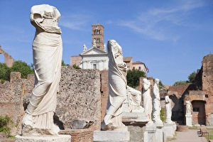 Forum Prints: Statues at House of Vestals in Roman Forum