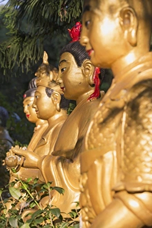 Gold Colour Prints: Statues at Ten Thousand Buddhas Monastery, Shatin, New Territories, Hong Kong, China