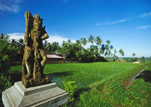 Staue of Raksha in a Rice Field, Ubud, Gianyar, Bali