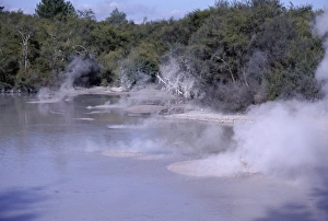 Thermal Prints: Steam and bubbling mud pools in thermal area
