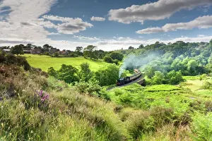 Railway Prints: A steam locomotive at Darnholme on the North Yorkshire Railway line travelling