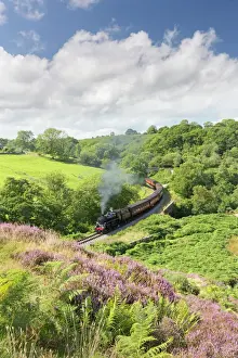Old Fashioned Prints: A steam locomotive pulling carriages through Darnholme on the North Yorkshire Steam