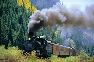 Fall Prints: Steam train