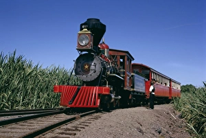 Locomotive Prints: Steam train from 1860