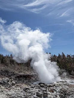 Heat Prints: Steamboat Geyser, the worlds tallest active geyser, steaming in Yellowstone National Park