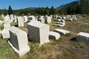 Images Dated 9th August 2010: Stecak necropolis of Radimlja, located near Stolac, Bosnia and Herzegovina, Europe