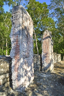 Inscription Prints: Stela 24 on right, and Stela 23 on left