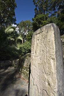 Stela 9 erected in AD 625 to commemorate the accession of Lord Smoking Shell in 608 Stela 9 erected in AD 625 to commemorate the accession of Lord Smoking Shell in 608