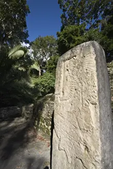 Stelae Prints: Stela 9 erected in AD 625 to commemorate the accession of Lord Smoking Shell in 608
