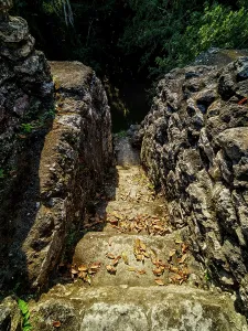 Stairs Prints: Steps leading down from the ruins of Group A at Uaxactun Archaeological Site in Peten Guatemala