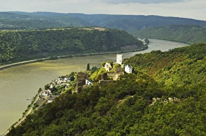 River Rhine Prints: Sterrenberg Castle and River Rhine, Rhineland-Palatinate, Germany, Europe