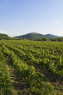 Austrian Eu Prints: Stift Gottweig, near Krems an der Donau, Wachau, Austria, Europe