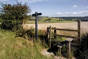 Walk Way Prints: Stile on the Ridgeway Path, Pitstone Hill, Chilterns, Buckinghamshire, England