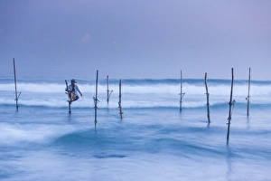 Poles Prints: Stilt fisherman, Mirissa, Sri Lanka, Asia