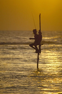 Sinelese Prints: Stilt fisherman (pole fisherman)