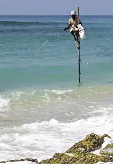 Stilt fisherman using traditional fishing techniques on a wooden pole, Weligama, Sri Lanka, Indian Ocean, Asia