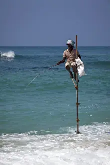 Fishing Rod Prints: Stilt fisherman using traditional fishing techniques on a wooden pole