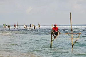 Images Dated 4th December 2011: Stilt fishermen, Dalawella, Sri Lanka, Indian Ocean, Asia